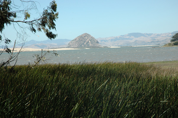 Morro Bay 041.JPG
